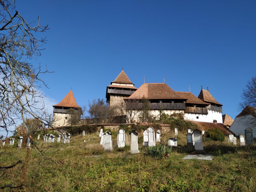 From Bucharest: 2-Day Tour to Brasov and Sighisoara - The private guide effect: names like Alina, Mimi, and Marius