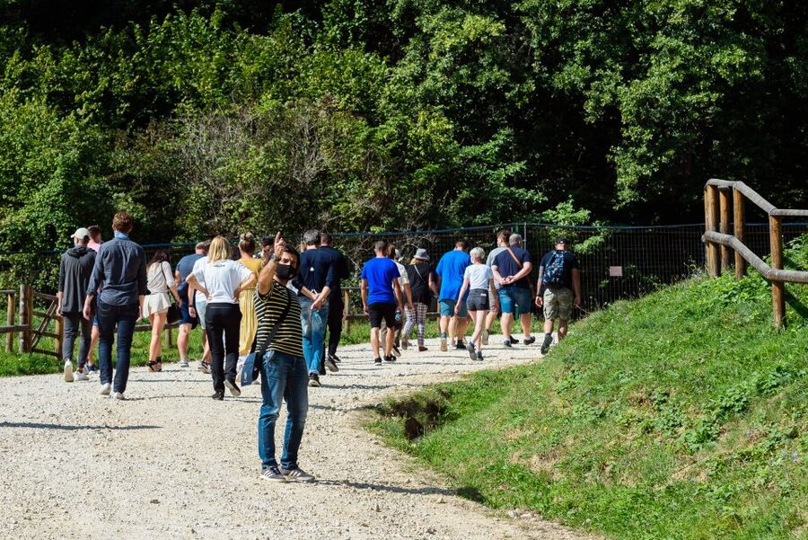 From Bucharest: Bear Sanctuary and Dracula Castle Day Tour - Key things to know before you go