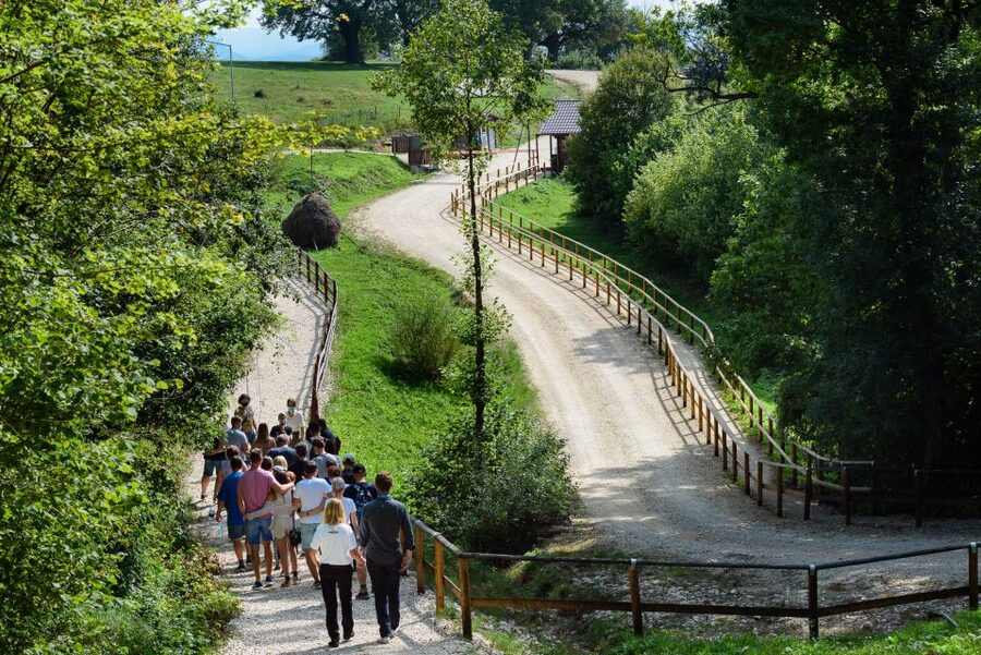 From Bucharest: Bear Sanctuary and Dracula Castle Day Tour - Bran Castle Time: Where Dracula the Impaler Fits Into the Setting