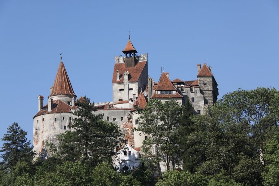 From Bucharest: Bear Sanctuary and Dracula Castle Day Tour - Price and Value: Is $346 Worth It?