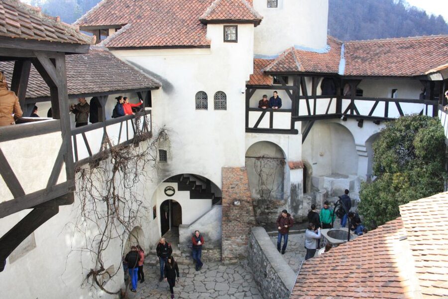 From Bucharest: Bear Sanctuary and Dracula Castle Day Tour - The Guide Factor, Based on What You Can Expect