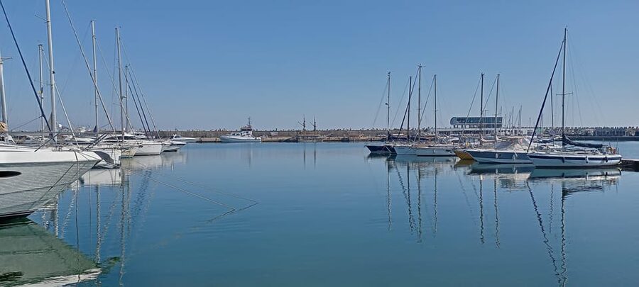 From Bucharest: Black Sea Constanța Day Tour - What to watch for: mosaic renovation and realistic expectations