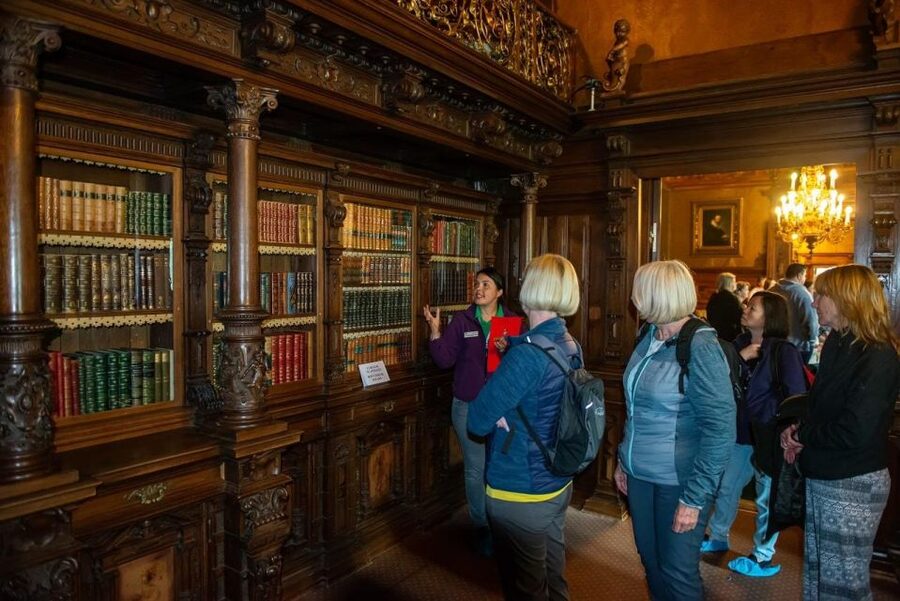 From Bucharest: Brasov Peles & Dracula's Castle Day Tour - How the $65 price stacks up, plus the real cost of castle entries