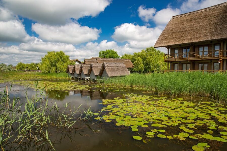 From Bucharest: Day Trip to Danube Delta - Pickups at Gray Line Romania: where you meet and what that means
