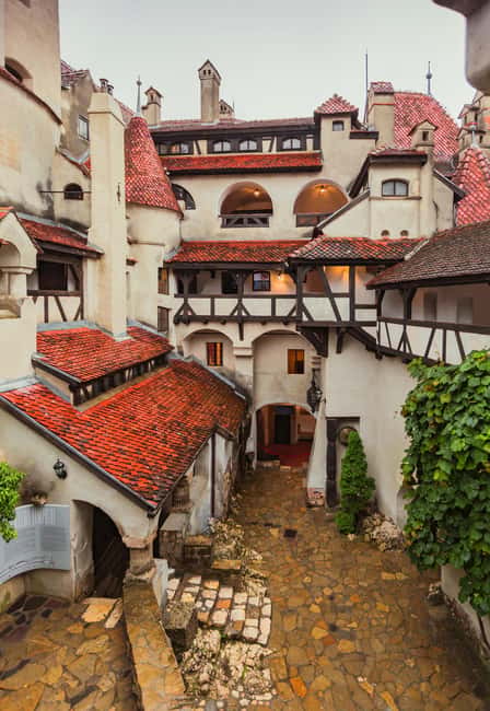 From Bucharest: Day Trip to Dracula's Castle, Peles & Brasov - Who this tour is a great fit for