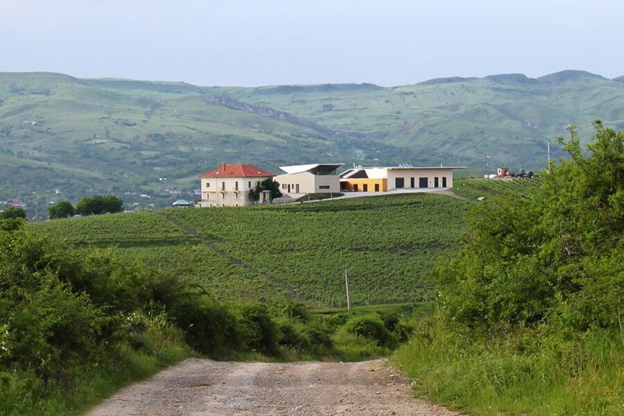 From Bucharest: Exclusive Dealu Mare Wine Tasting Tour - Why Dealu Mare works so well for a Bucharest day trip