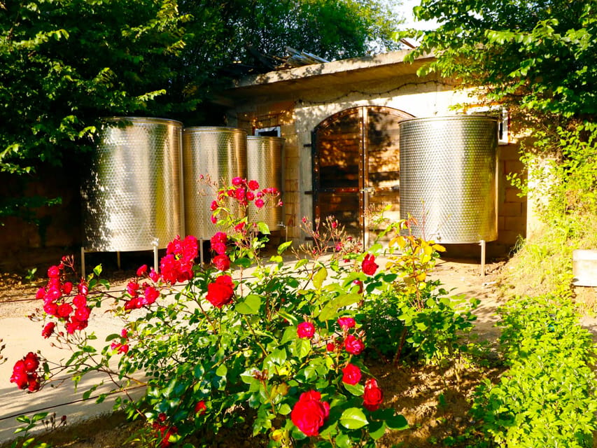 From Bucharest: Exclusive Dealu Mare Wine Tasting Tour - The 12-wine tasting format, and how the pairings teach your palate