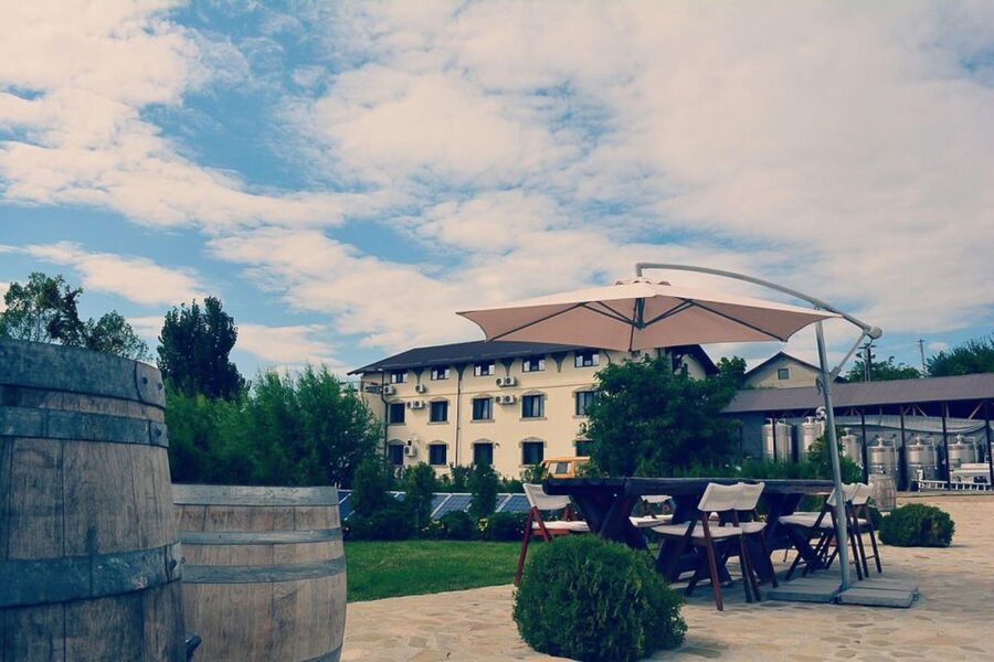 From Bucharest: Exclusive Dealu Mare Wine Tasting Tour - Price and value: what $260 buys you in real terms