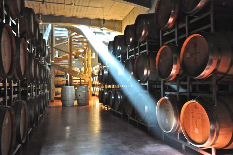 From Bucharest: Exclusive Dealu Mare Wine Tasting Tour - Logistics that matter: timing, private group, and what to do with lunch