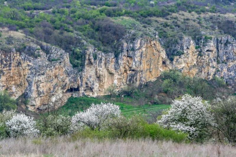 From Bucharest: Experience Bulgaria Small-Group Trip - Key things I’d zero in on before you go