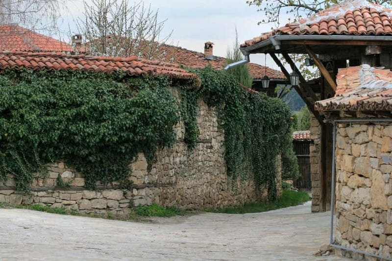 From Bucharest: Experience Bulgaria Small-Group Trip - Timing, group size, and why the day can feel long