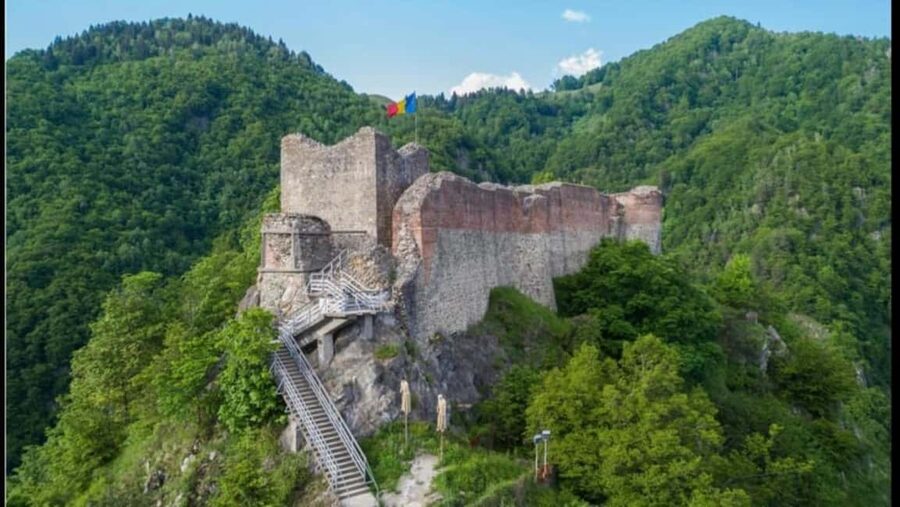 From Bucharest: Făgăraș Mountains and Bear Watching Tour - First Stop: Montrek Sport and the “bear day” mindset