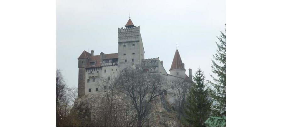 From Bucharest: Full-Day Private Dracula Tour - Price and Value: What You Get for $388 Per Group