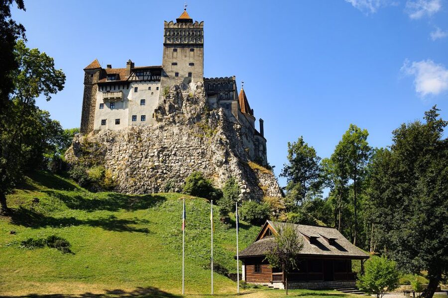 From Bucharest: Libearty Bear Sanctuary and Dracula's Castle - The big idea: two Transylvania icons in one 10-hour day
