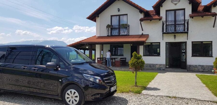 From Bucharest: Peleș and Bran Castles Private Tour - Comfort and practicalities: shoes, walking, and mobility limits