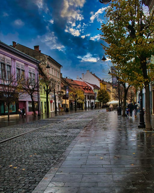 From Bucharest: Unravel Medieval Transylvania in 3-Day Tour - Who should book this 3-day private Transylvania tour