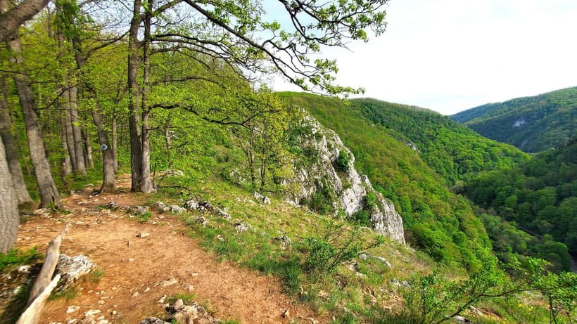 From Cluj: Gorges of Crisul Repede River - Key highlights you should care about