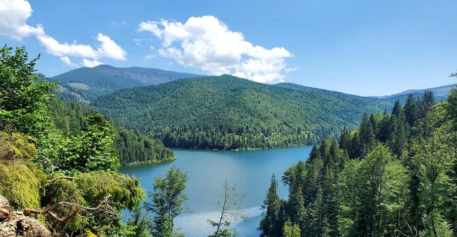 From Cluj: Mountain Bike around Lake Dragan - Key highlights you will feel on this Lake Dragan ride