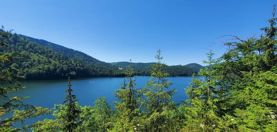 From Cluj: Mountain Bike around Lake Dragan - Alunu village and the panorama stop above it