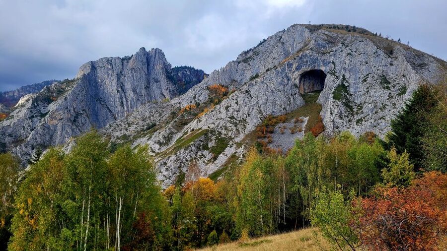 From Cluj-Napoca: Apuseni Mountains Hiking Guided Day Tour - Key highlights you should care about