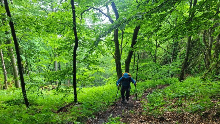 From Cluj-Napoca: Apuseni Mountains Hiking Guided Day Tour - The return: Sipote waterfall and Dumesti village, if time allows