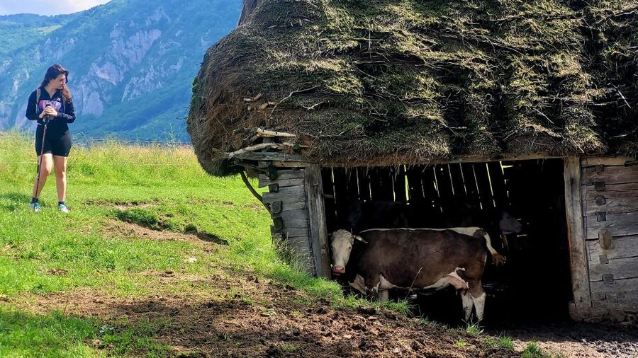 From Cluj-Napoca: Apuseni Mountains Hiking Guided Day Tour - Why the Scarita hike feels different from a generic mountain tour