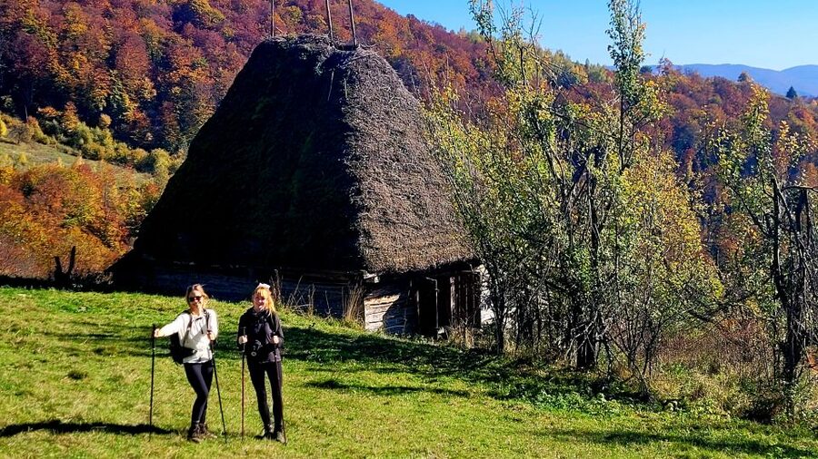 From Cluj-Napoca: Apuseni Mountains Hiking Guided Day Tour - The route: beech forest to alpine zone to Scarita peak