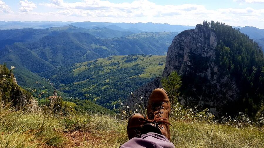 From Cluj-Napoca: Apuseni Mountains Hiking Guided Day Tour - Wildlife from the cliffs: butterflies and the golden eagle