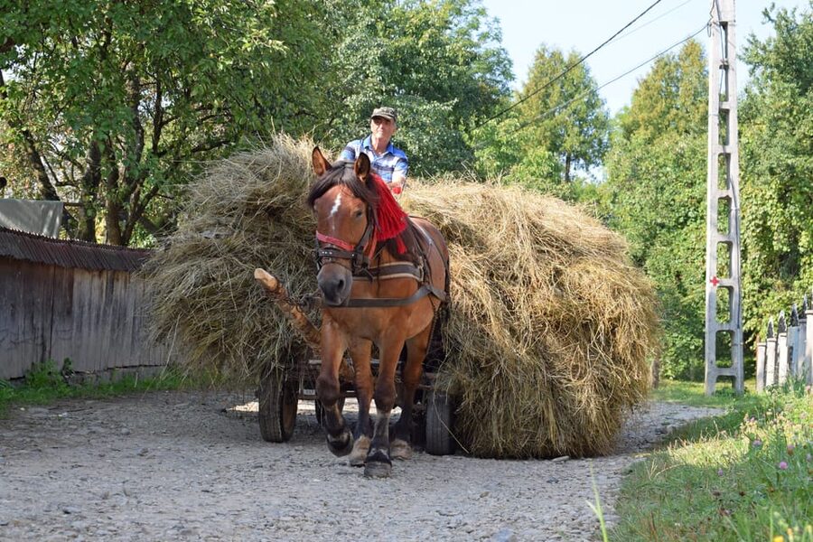 From Cluj-Napoca: Maramures Day Tour - Price and Value: Is $189 Worth It?
