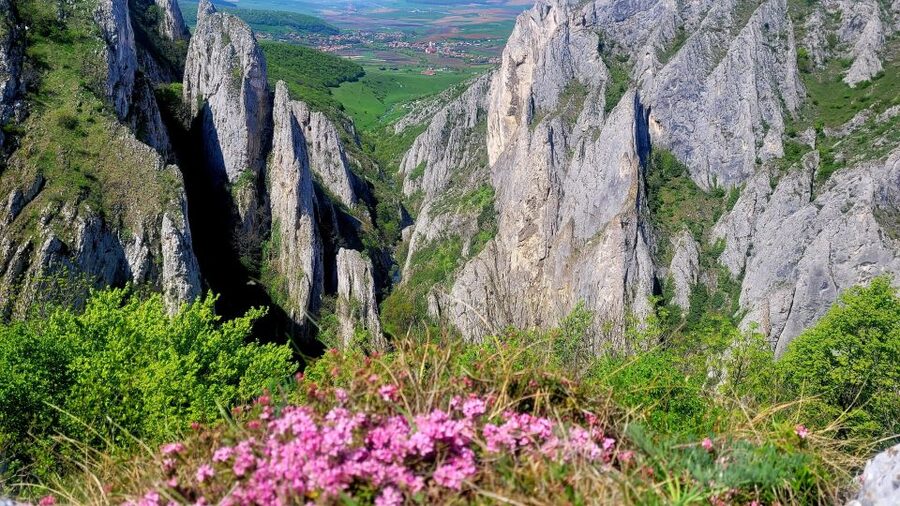 From Cluj: Turda Salt Mine, Gorge, and Remetea Full-Day Trip - Monastery of Holy Archangels Michael, Gabriel and Raphael: a short, spiritual stop