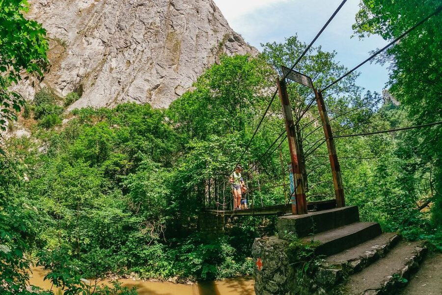 From Cluj: Turda Salt Mine, Gorge, and Remetea Full-Day Trip - Turda Gorge hike: 3 kilometers of dramatic limestone and real climbing
