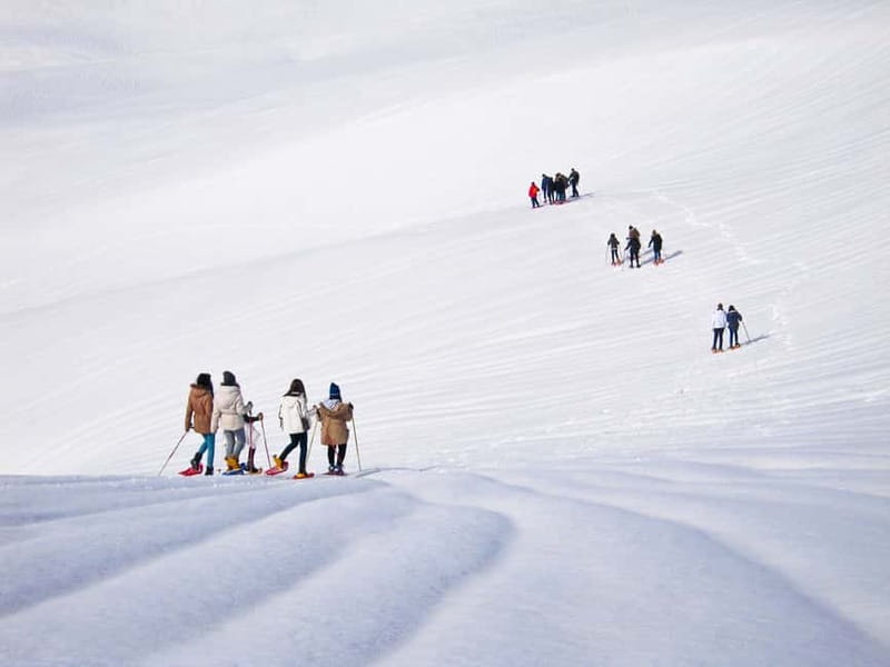 From Cluj: Winter Walking Trip on the Great Mountain - The Minibus Ride Matters: Air-Conditioned Comfort Before the Cold