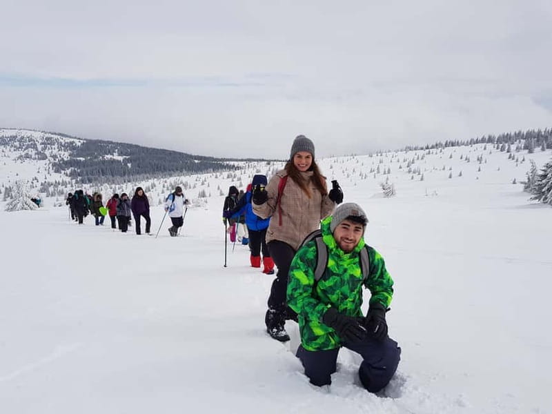 From Cluj: Winter Walking Trip on the Great Mountain - Over the Great Mountain: Deep Forest Steps and Winter Views