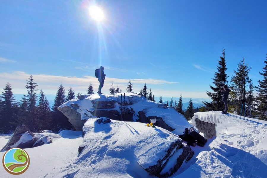 From Cluj: Winter Walking Trip on the Great Mountain - Price and Value: Why $115 Works for This Kind of Winter Day
