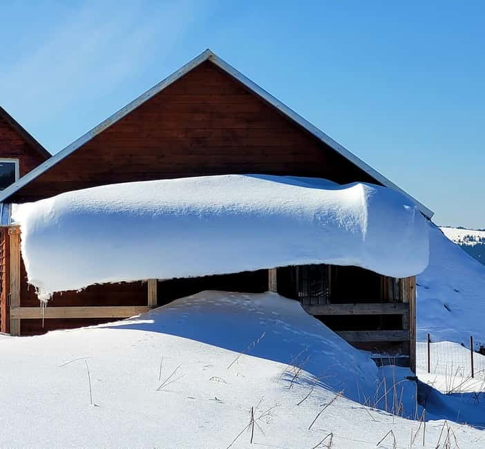 From Cluj: Winter Walking Trip on the Great Mountain - What to Bring, and What to Know Before You Go