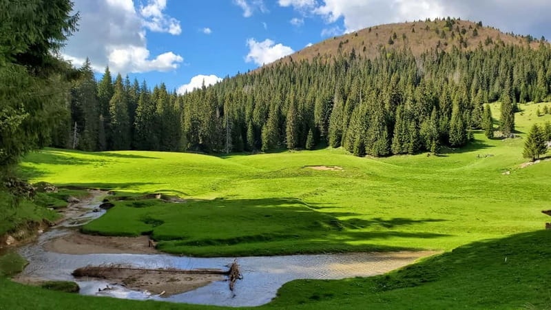 From Oradea: Apuseni Mountains Guided Hiking Tour - Key things I’d plan around before you go