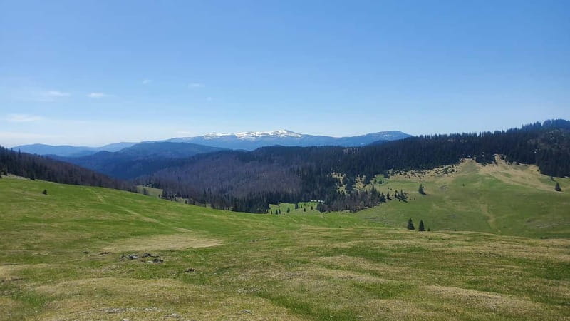 From Oradea: Apuseni Mountains Guided Hiking Tour - A 1000m-gain half-day that still feels like real mountains