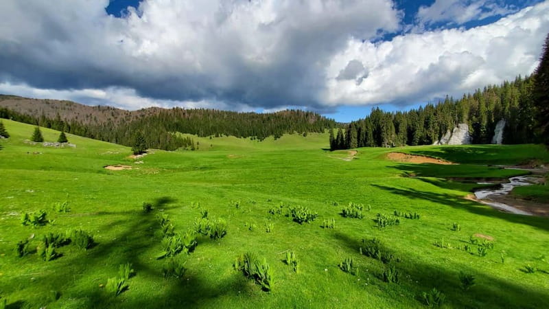 From Oradea: Apuseni Mountains Guided Hiking Tour - Onceasa Valley to Glavoi Stables, where the route starts to make sense