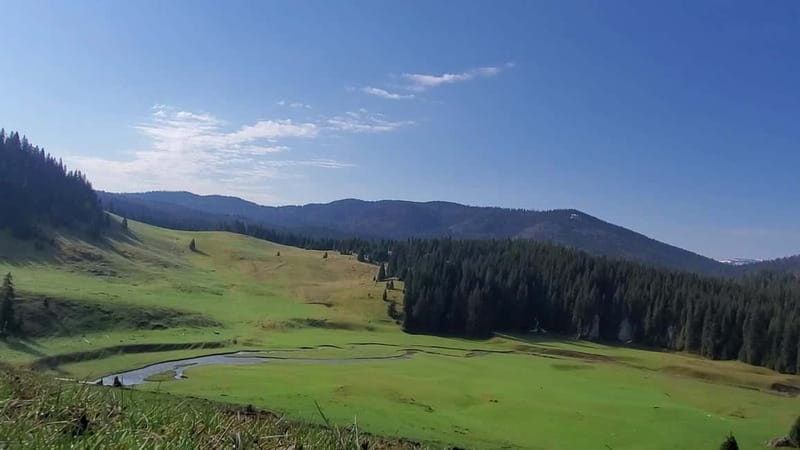 From Oradea: Apuseni Mountains Guided Hiking Tour - The Balileasa Valley vibe, then the Ponor Plain viewpoint