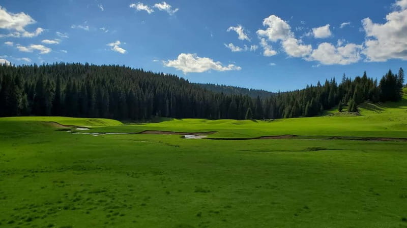 From Oradea: Apuseni Mountains Guided Hiking Tour - Climb back up to Padis, then Biserica Motului for the big overview