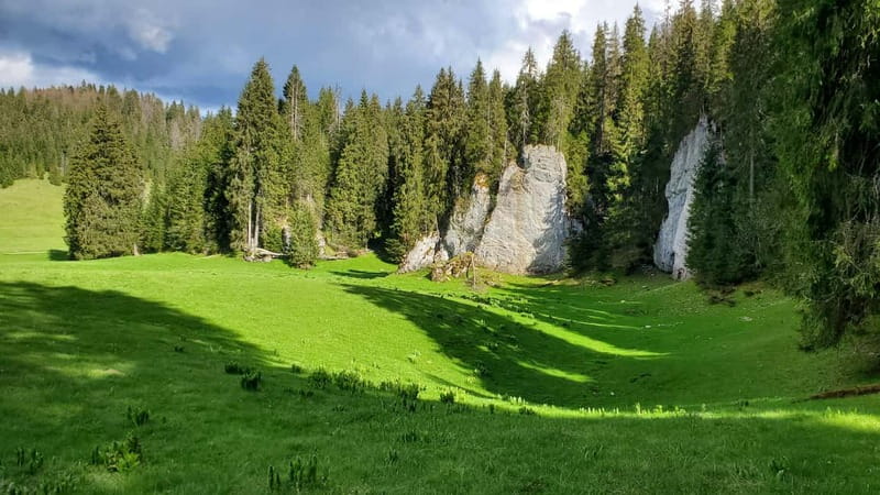 From Oradea: Apuseni Mountains Guided Hiking Tour - Guide Marcel’s style, safety habits, and local storytelling
