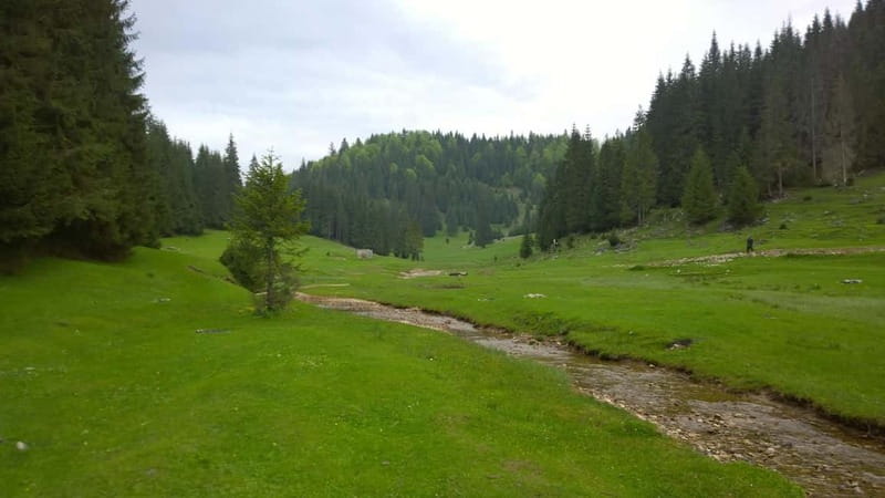 From Oradea: Apuseni Mountains Guided Hiking Tour - Who should book this guided hike from Oradea, and who should pass?