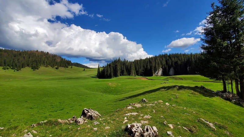 From Oradea: Apuseni Mountains Guided Hiking Tour - Oradea pickup, small group pace, and what it means for value
