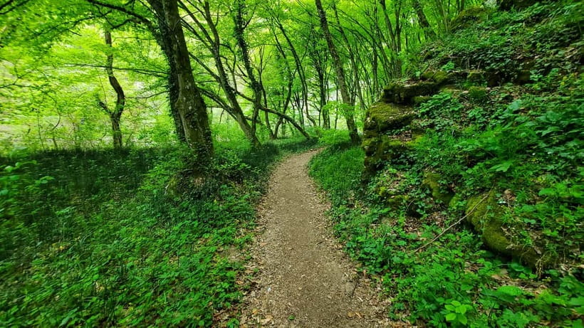 From Oradea: Gorges of Crisul Repede River - Sun, shoes, and practical tips for a smooth gorges day