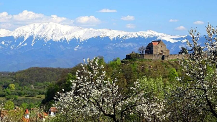 From Sibiu: Blue Line & City Tour Sighisoara - UNESCO - Where You Meet in Sibiu (So You Do Not Start Late)