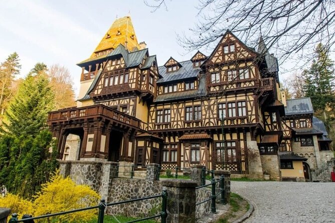 Full-Day Private Tour to Sinaia, Bran and Brasov from Bucharest - Guide quality that shows up in the small stuff