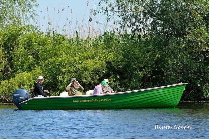 Guided Birdwatching day trip to the Danube Delta - private program - Key things to know before you go