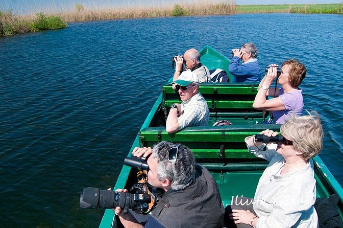 Guided Birdwatching day trip to the Danube Delta - private program - Cruising the delta channels, how the captain helps you find birds