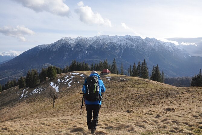 Hike in the Wild Private Photo Tour - Key Things You’ll Notice on This Hike