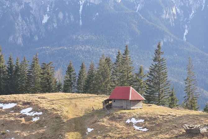 Hike in the Wild Private Photo Tour - Why This Hike Works So Well for Photos Near Piatra Craiului